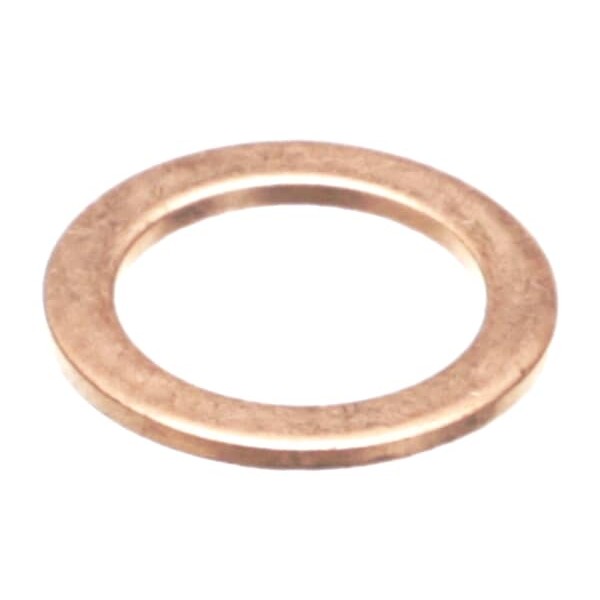 (image for) Ugolini USA A180005-00 VALVE GASKET BRASS ESP 220V SP